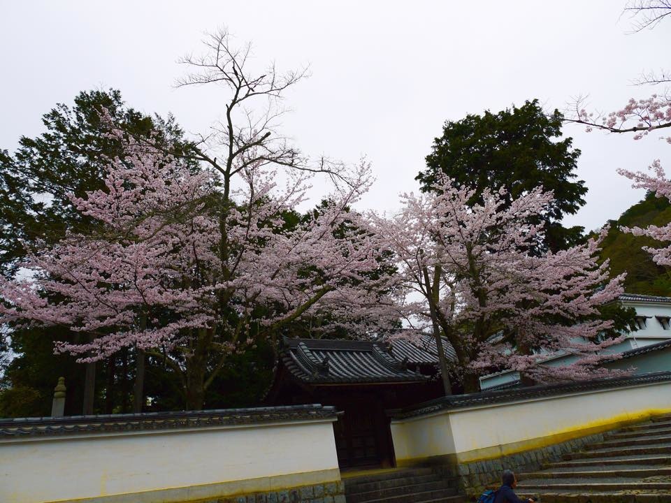 20150403AM南禪寺10.jpg