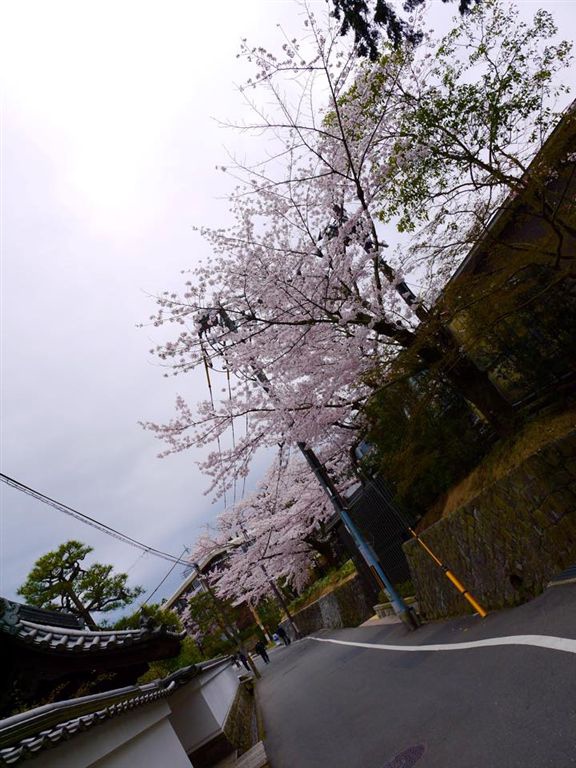 20150403AM南禪寺18.jpg