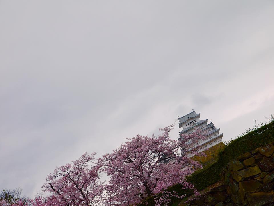 20150406AM09點35姬路城3.jpg