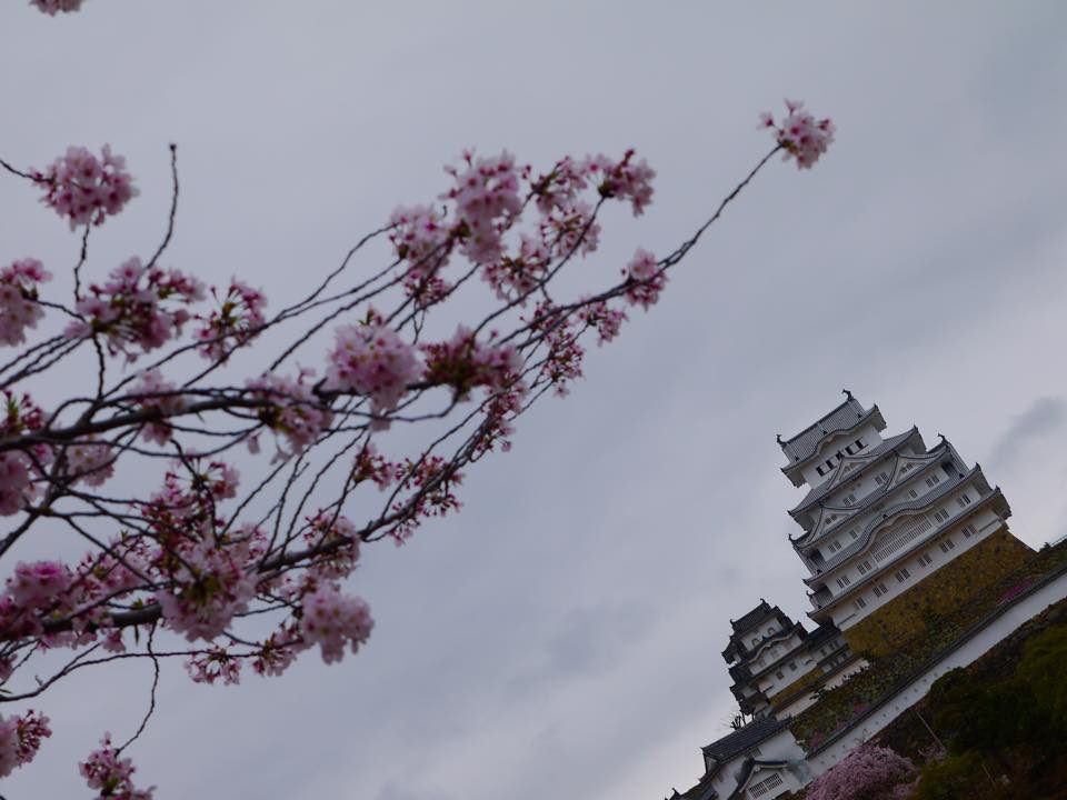 20150406AM09點35姬路城5.jpg