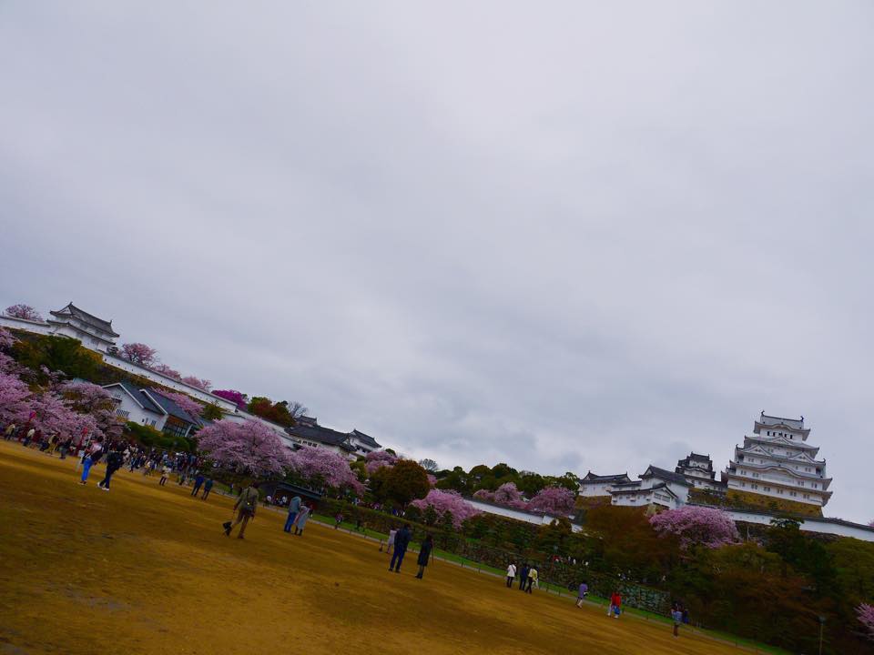 20150406AM09點35姬路城11.jpg