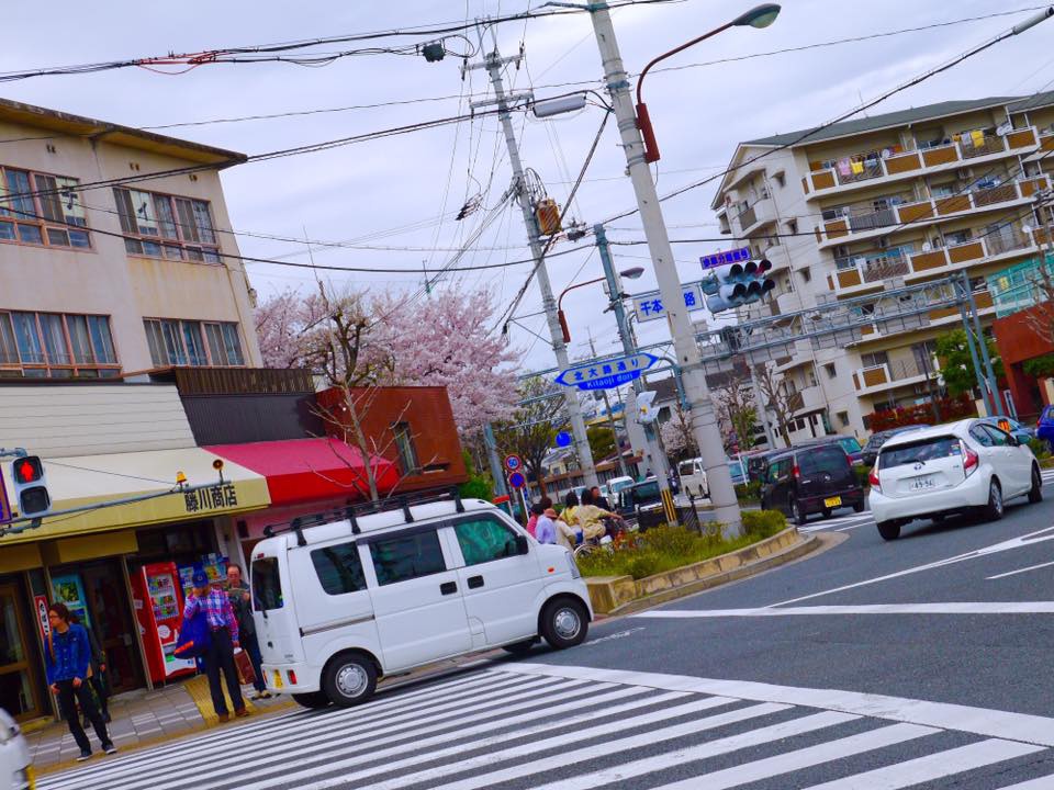 20150404AM09點48二条城參觀70.jpg