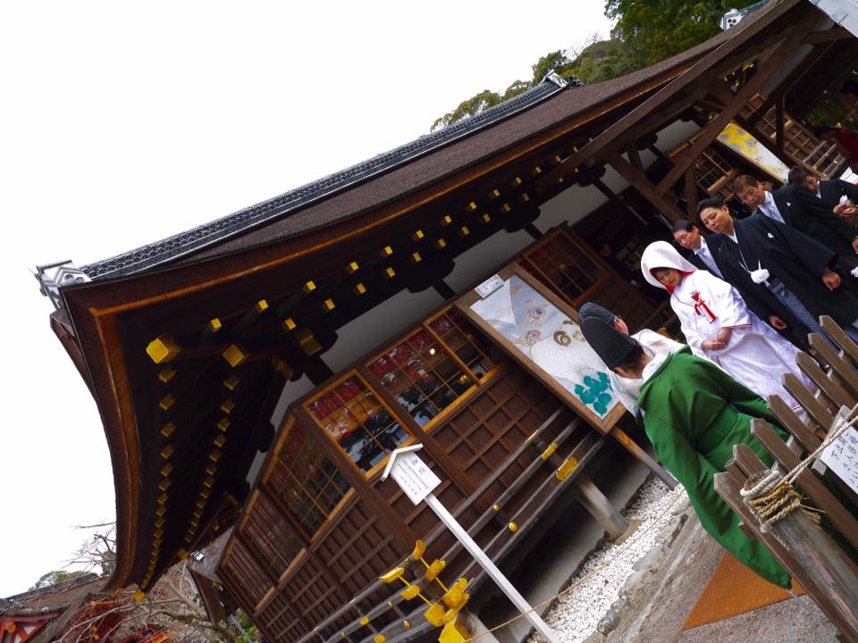 20150404PM12點18上賀茂神社齊王櫻滿開24.jpg