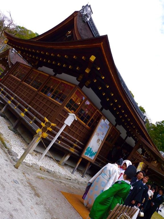 20150404PM12點18上賀茂神社齊王櫻滿開25.jpg