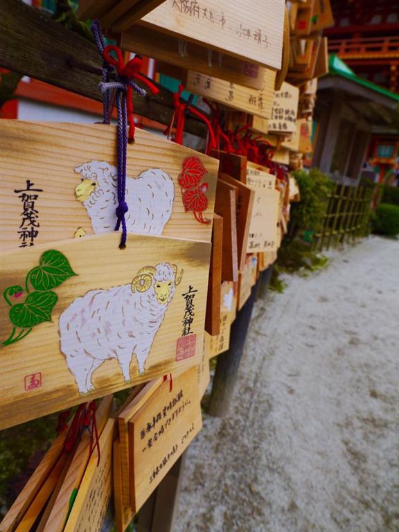 20150404PM12點18上賀茂神社齊王櫻滿開45.jpg