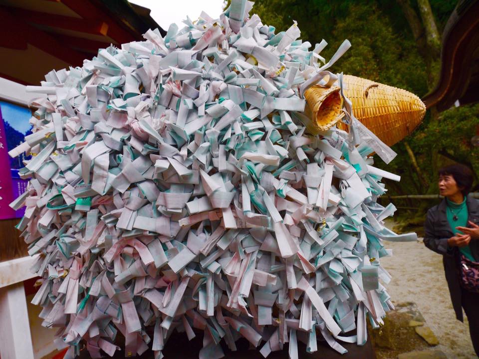 20150404PM12點18上賀茂神社齊王櫻滿開52.jpg