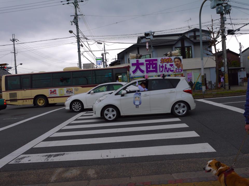 20150404PM13點08賀茂川櫻木花道151.jpg