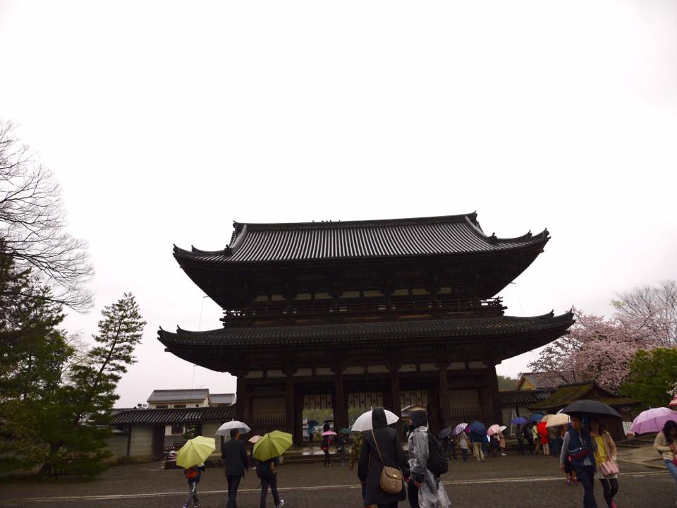 20150405AM10點30仁和寺櫻花滿開70.jpg