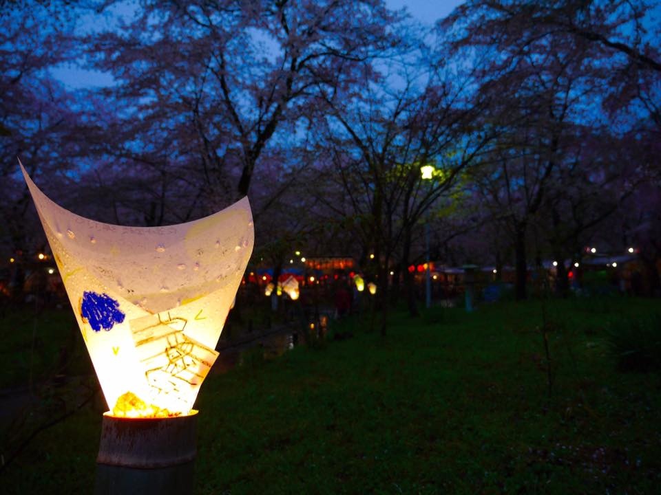 20150405PM16點18平野神社櫻花滿開33.jpg