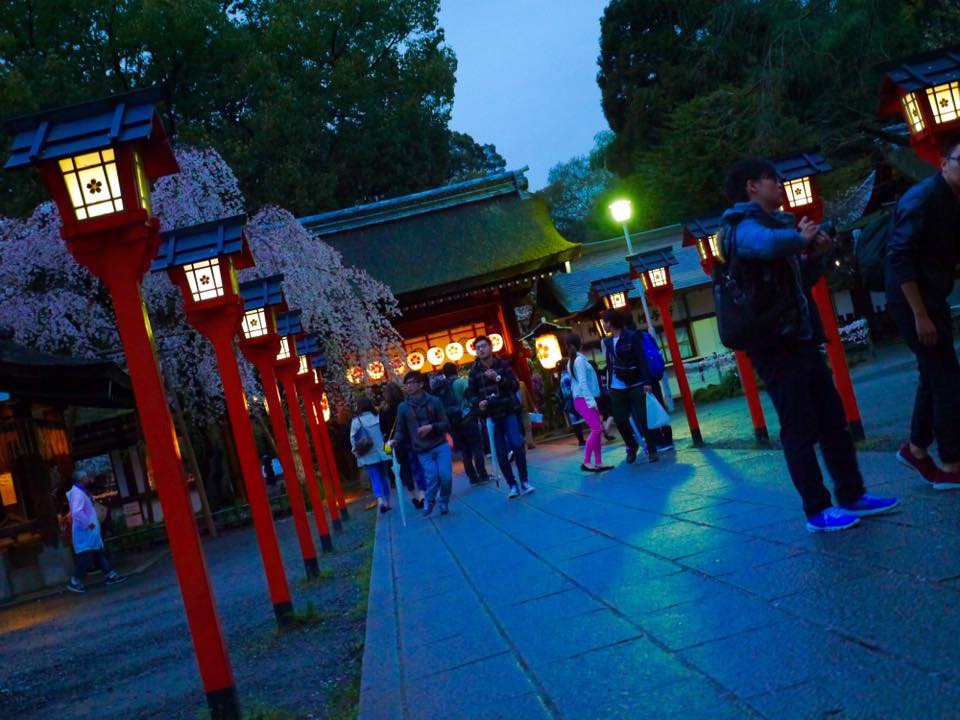 20150405PM16點18平野神社櫻花滿開60.jpg