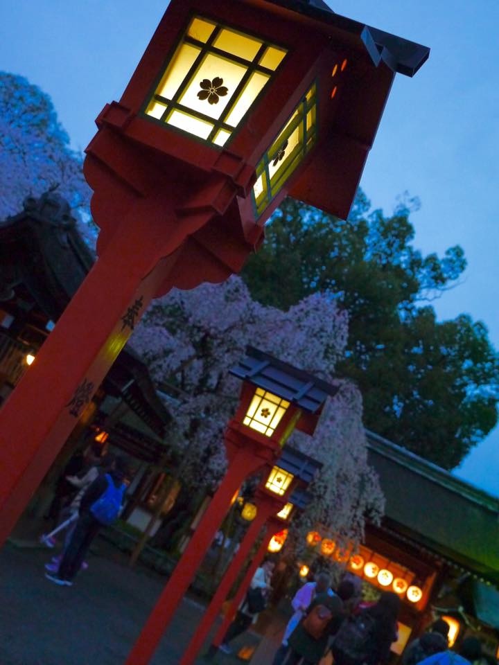 20150405PM16點18平野神社櫻花滿開65.jpg