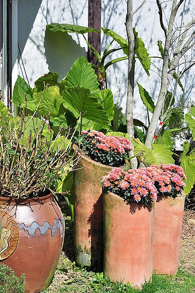 tn_DSC_4402.JPG tn_DSC_4402.JPG