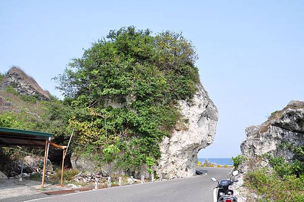 tn_DSC_4838.JPG tn_DSC_4838.JPG