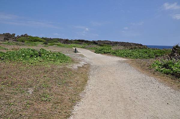 tn_DSC_5161.JPG