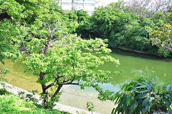 tn_DSC_9590 tn_DSC_9590