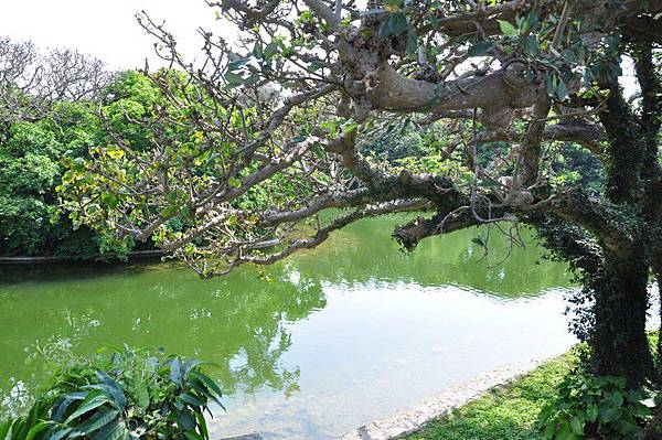 tn_DSC_9589 tn_DSC_9589