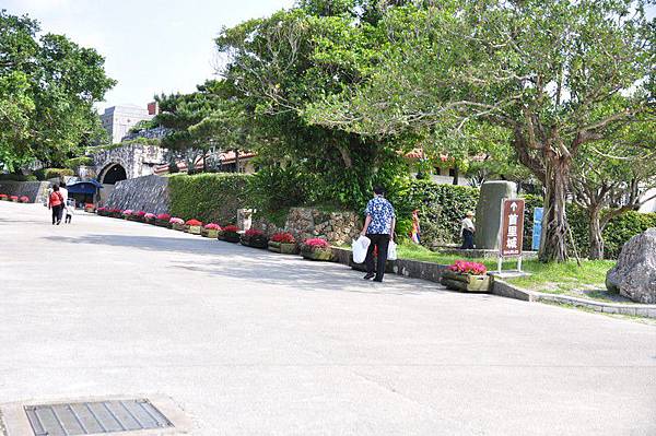 tn_DSC_9603 tn_DSC_9603