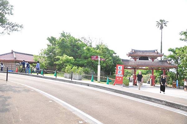 tn_DSC_9708 tn_DSC_9708