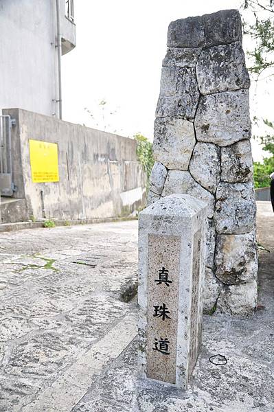 tn_DSC_9715 tn_DSC_9715