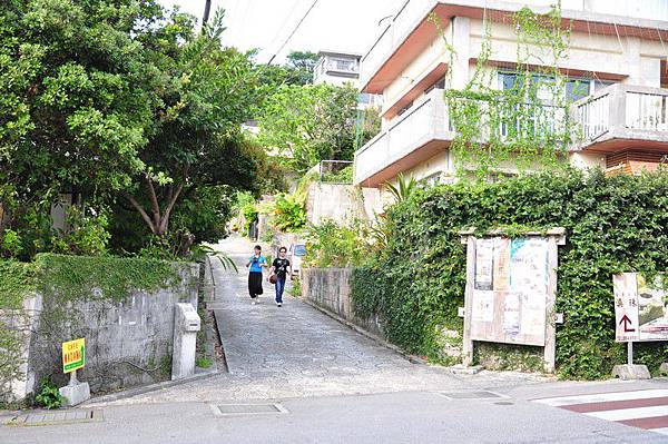 tn_DSC_9723 tn_DSC_9723