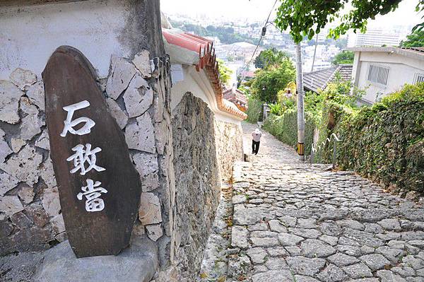 tn_DSC_9729 tn_DSC_9729