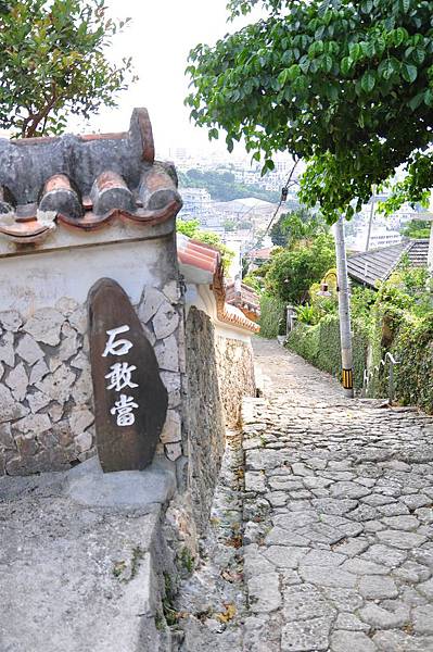 tn_DSC_9724 tn_DSC_9724