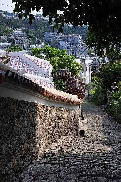 tn_DSC_9737 tn_DSC_9737