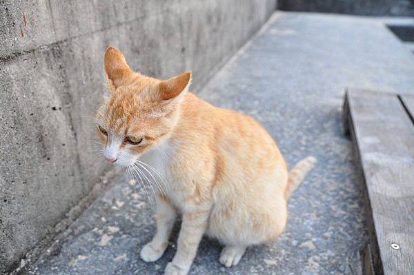 tn_DSC_9819 tn_DSC_9819