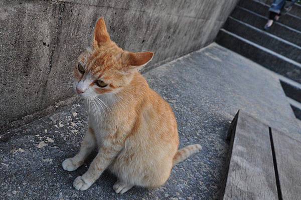 tn_DSC_9820 tn_DSC_9820