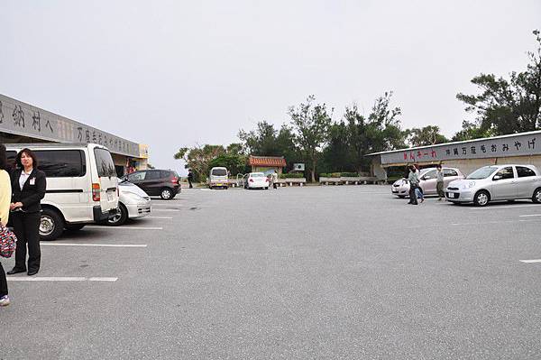 tn_DSC_0239 tn_DSC_0239