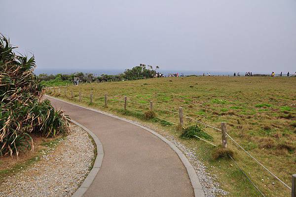 tn_DSC_0237 tn_DSC_0237