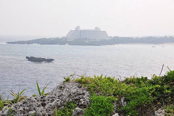 tn_DSC_0231 tn_DSC_0231