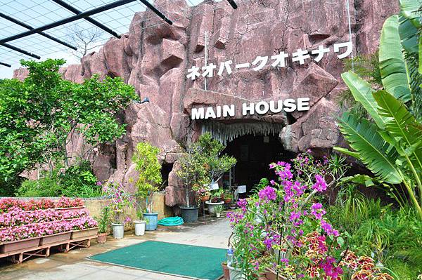 tn_DSC_0247 tn_DSC_0247