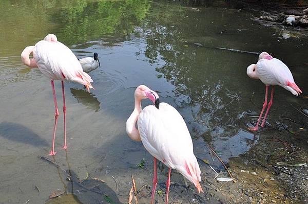 tn_DSC_0252 tn_DSC_0252