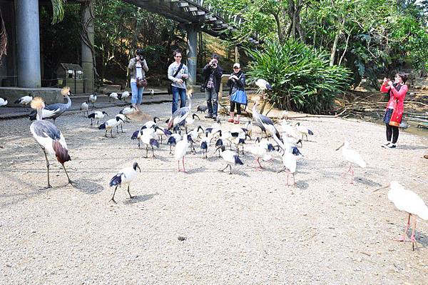 tn_DSC_0254 tn_DSC_0254