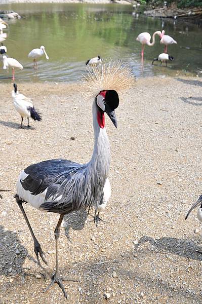 tn_DSC_0261 tn_DSC_0261