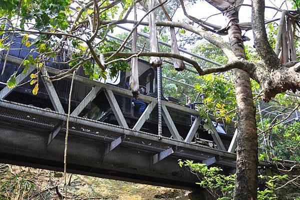 tn_DSC_0265 tn_DSC_0265