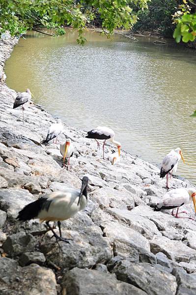 tn_DSC_0269 tn_DSC_0269