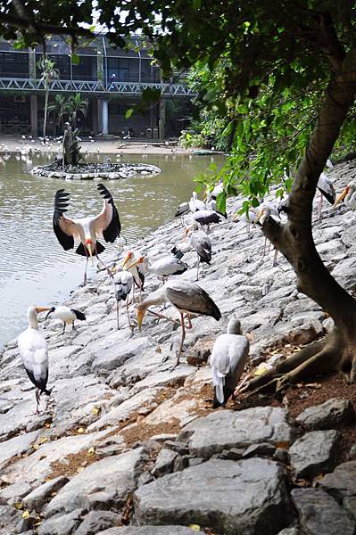 tn_DSC_0273 tn_DSC_0273