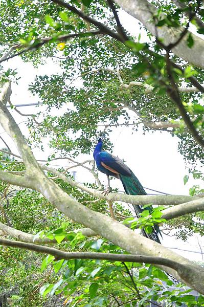 tn_DSC_0276 tn_DSC_0276