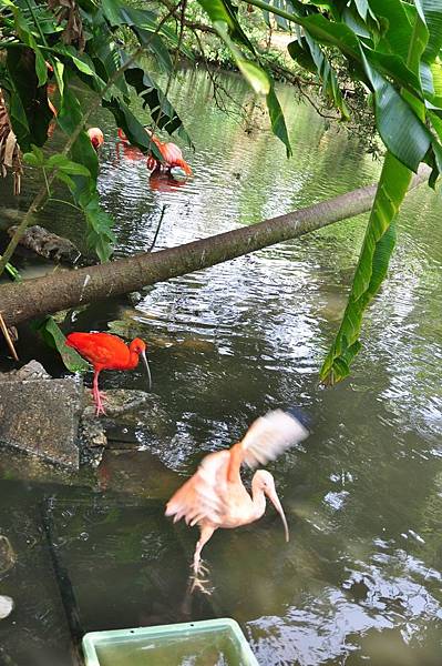 tn_DSC_0277 tn_DSC_0277