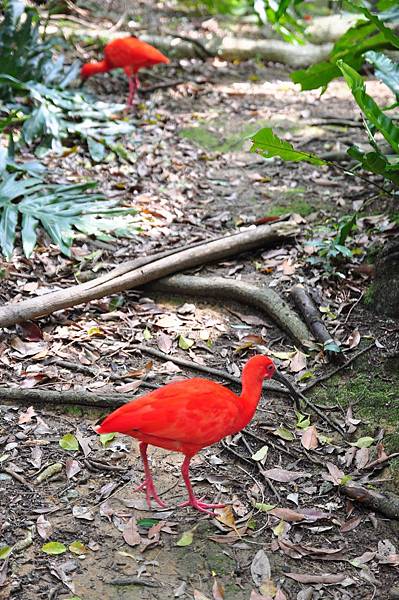 tn_DSC_0285 tn_DSC_0285