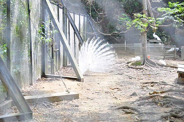 tn_DSC_0290 tn_DSC_0290