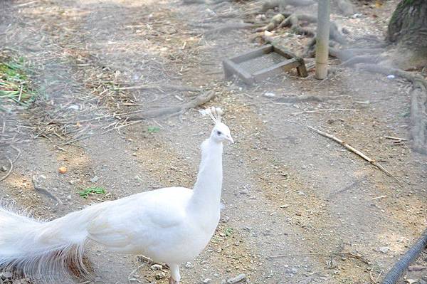 tn_DSC_0291 tn_DSC_0291