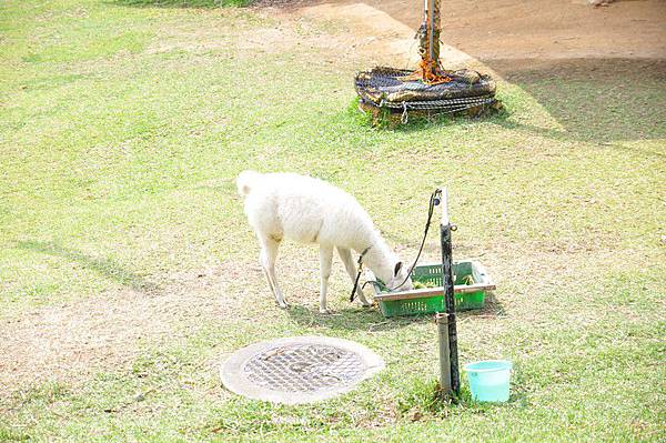 tn_DSC_0294 tn_DSC_0294