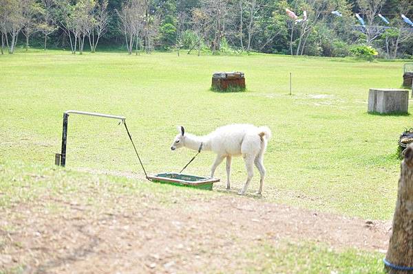 tn_DSC_0299 tn_DSC_0299