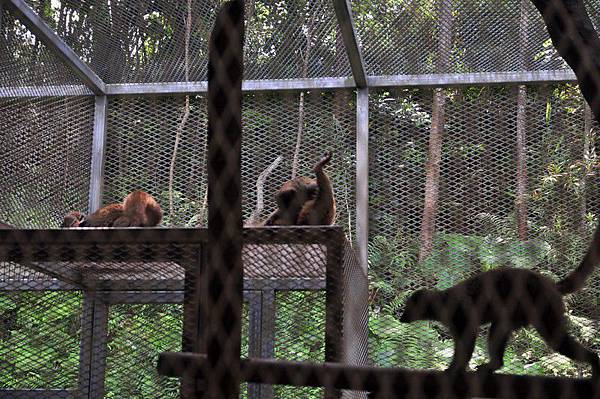 tn_DSC_0301 tn_DSC_0301