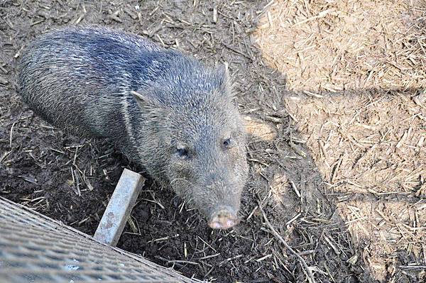 tn_DSC_0307 tn_DSC_0307