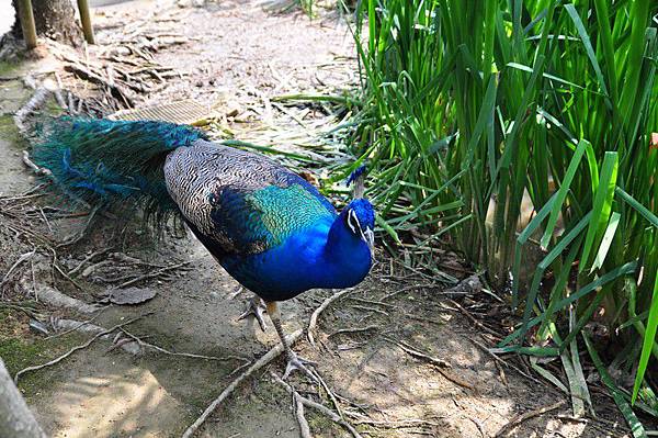 tn_DSC_0311 tn_DSC_0311