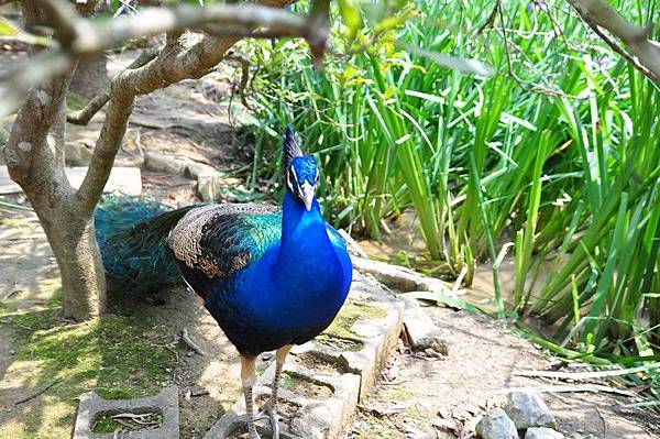 tn_DSC_0313 tn_DSC_0313